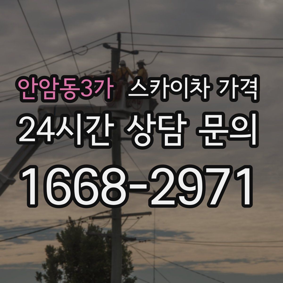 안암동3가 스카이차 가격 유도원 필요 여부를 판단하는 포인트