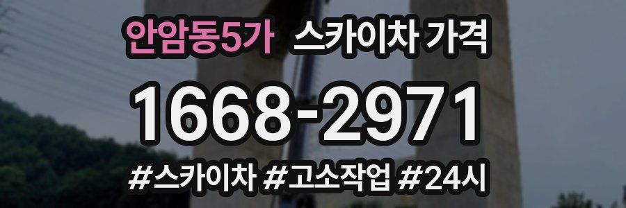 안암동5가 스카이차 가격