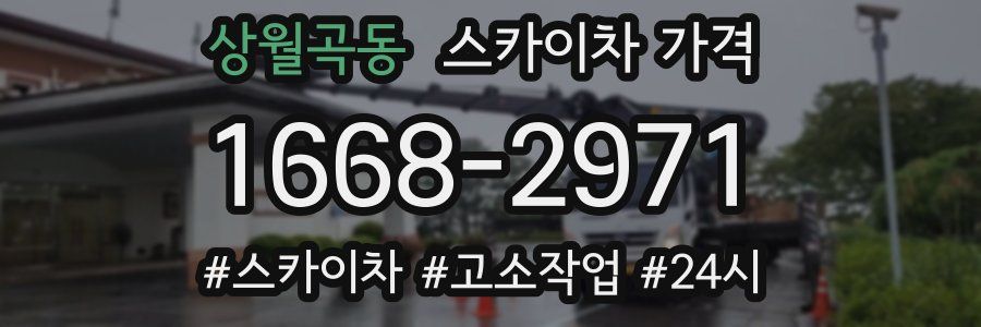 상월곡동 스카이차 가격