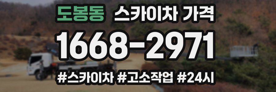 도봉동 스카이차 가격