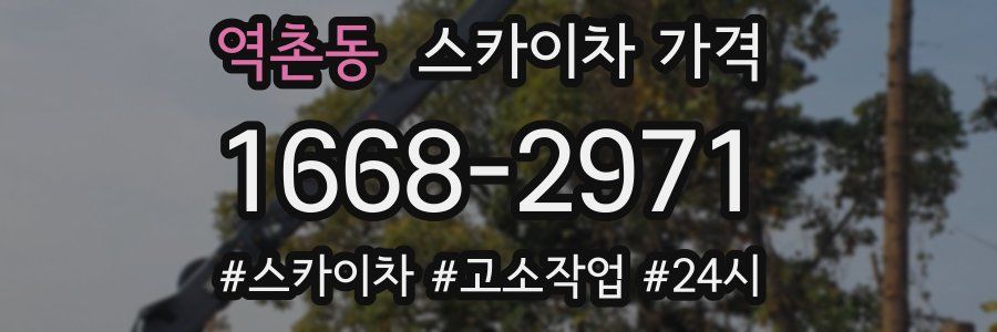 역촌동 스카이차 가격