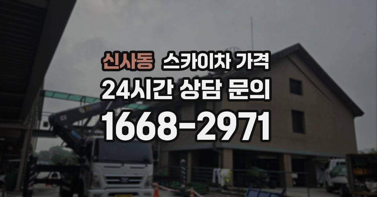 신사동 스카이차 가격