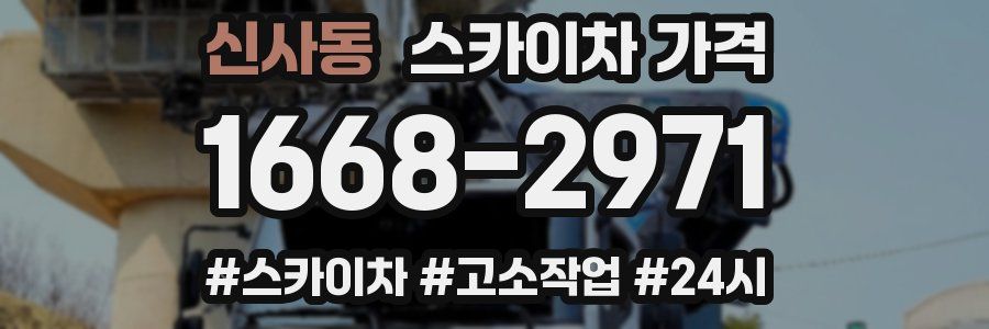 신사동 스카이차 가격