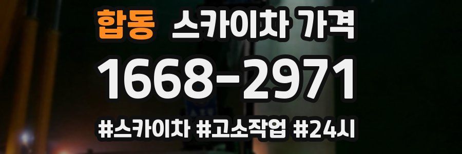 합동 스카이차 가격