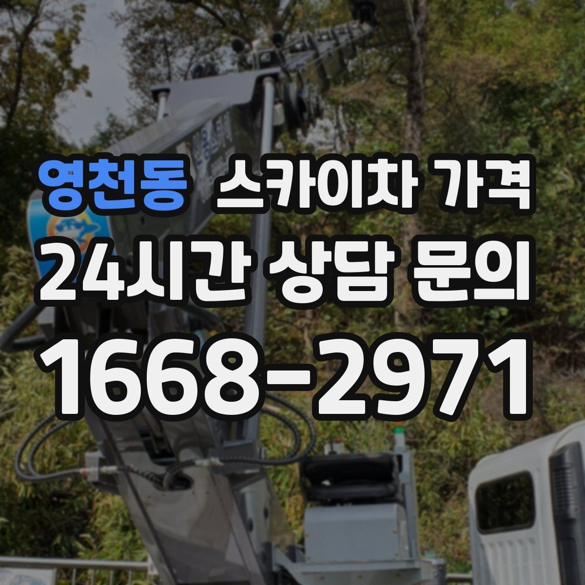 영천동 스카이차 가격 적정 견적을 판단하는 현실적인 기준