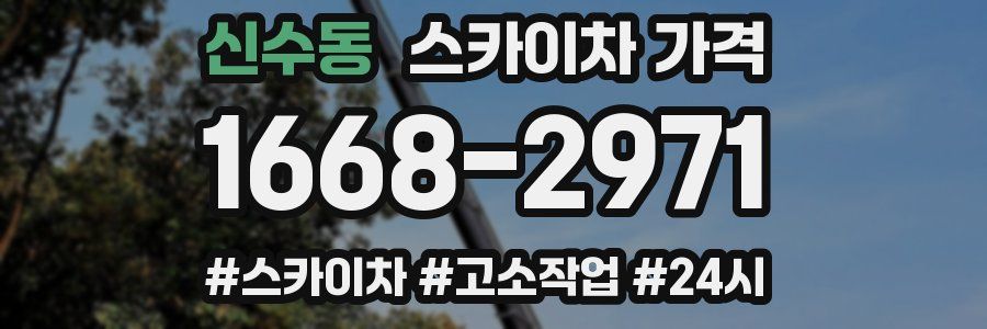 신수동 스카이차 가격