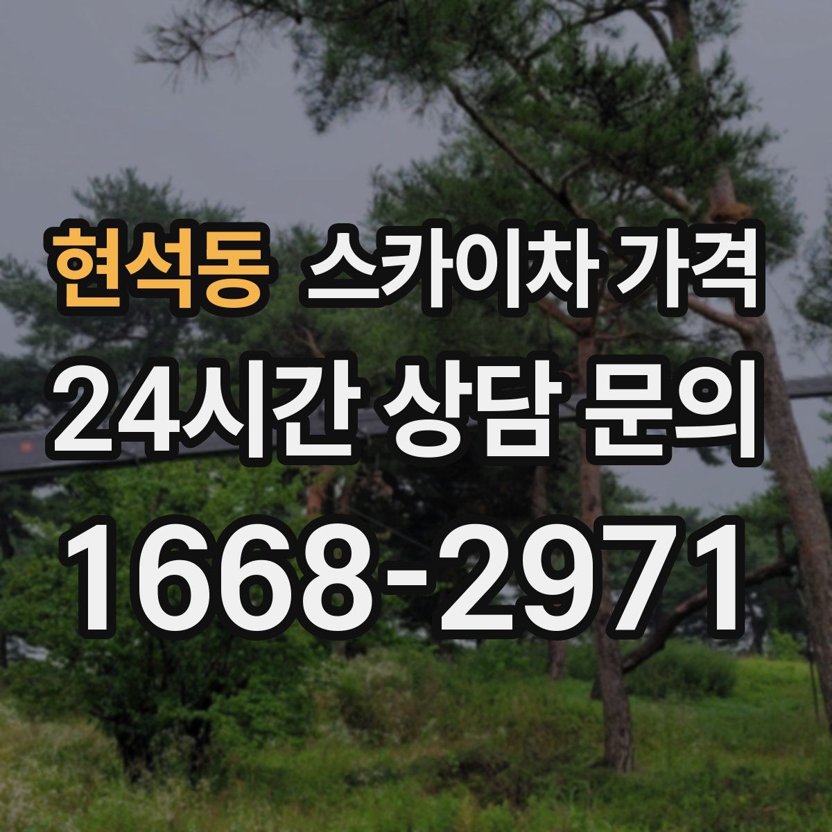 현석동 스카이차 가격