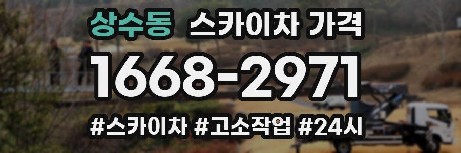 상수동 스카이차 가격