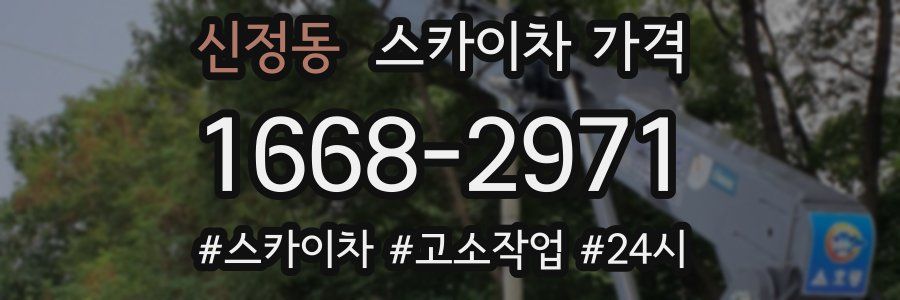 신정동 스카이차 가격