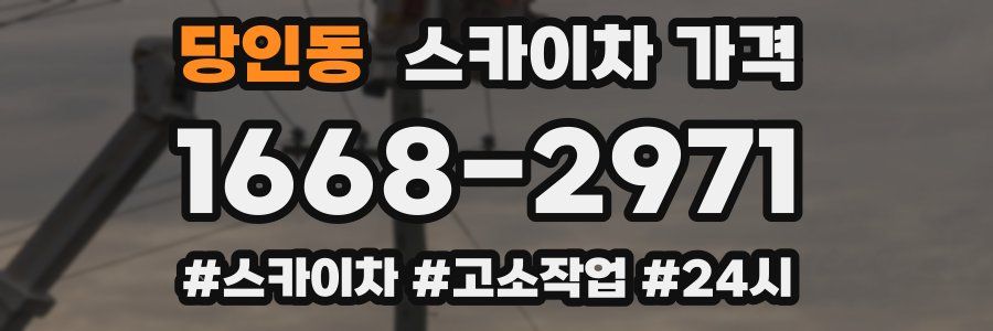 당인동 스카이차 가격