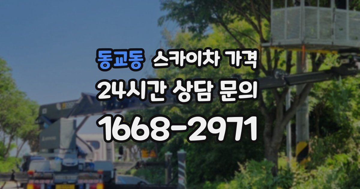 동교동 스카이차 가격