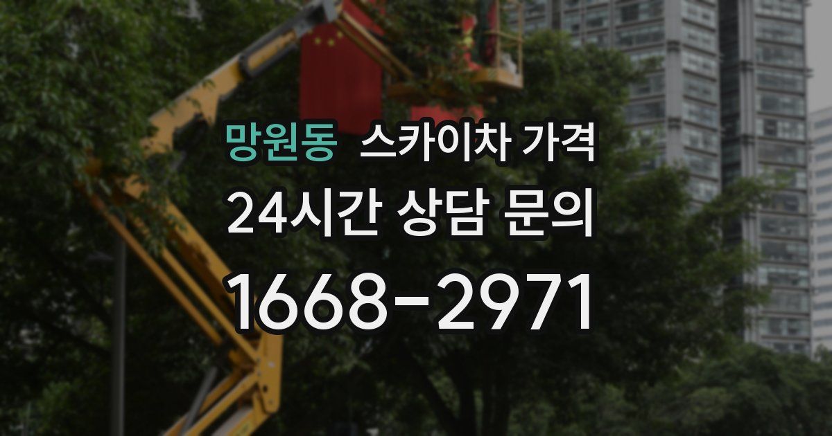 망원동 스카이차 가격