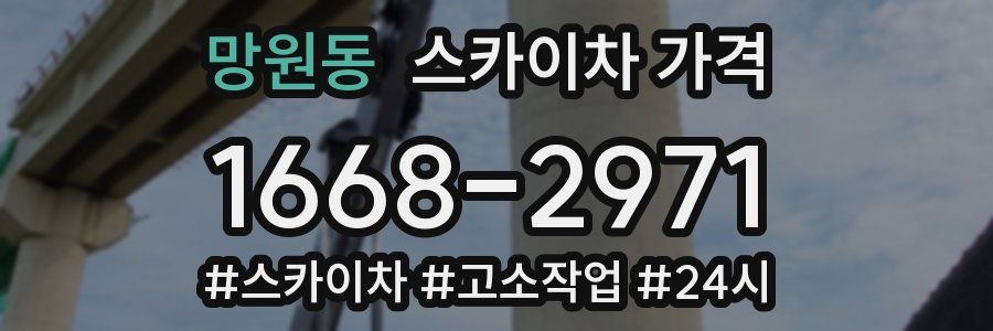 망원동 스카이차 가격