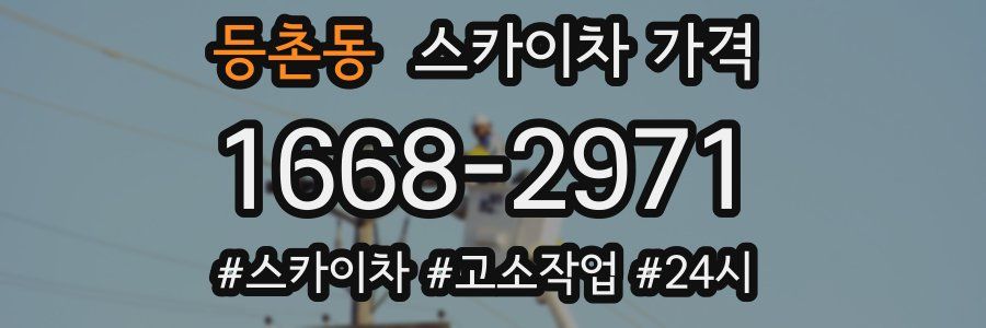 등촌동 스카이차 가격