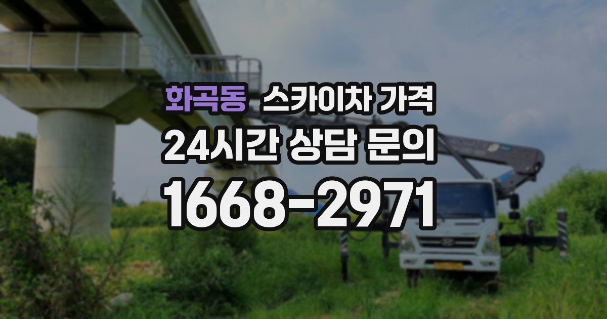 화곡동 스카이차 가격