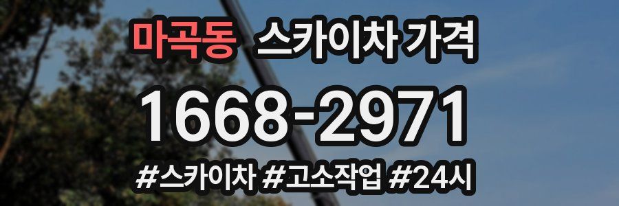 마곡동 스카이차 가격