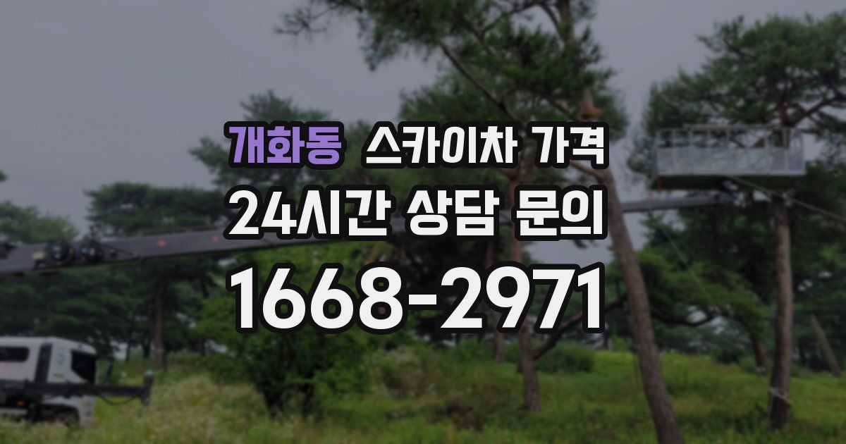 개화동 스카이차 가격