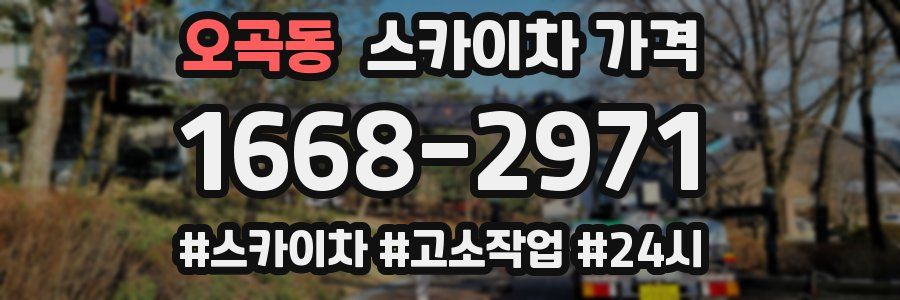 오곡동 스카이차 가격