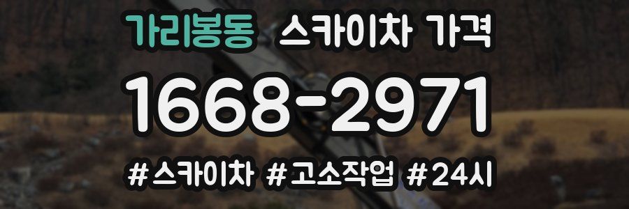 가리봉동 스카이차 가격