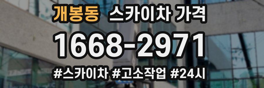 개봉동 스카이차 가격