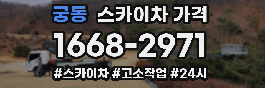 궁동 스카이차 가격