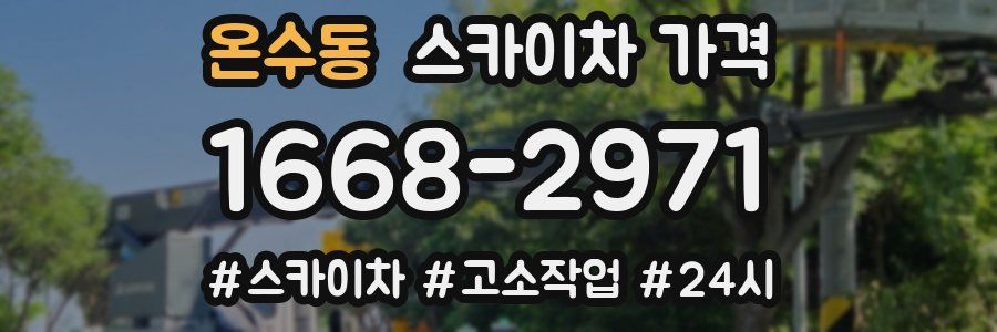 온수동 스카이차 가격