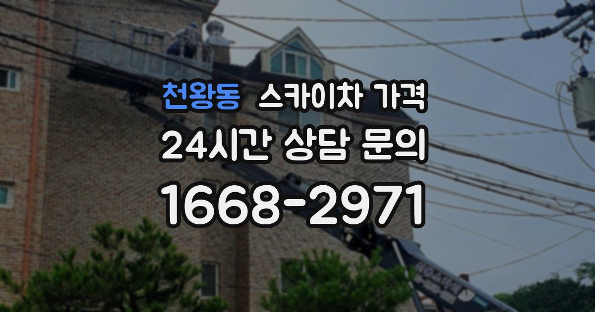 천왕동 스카이차 가격