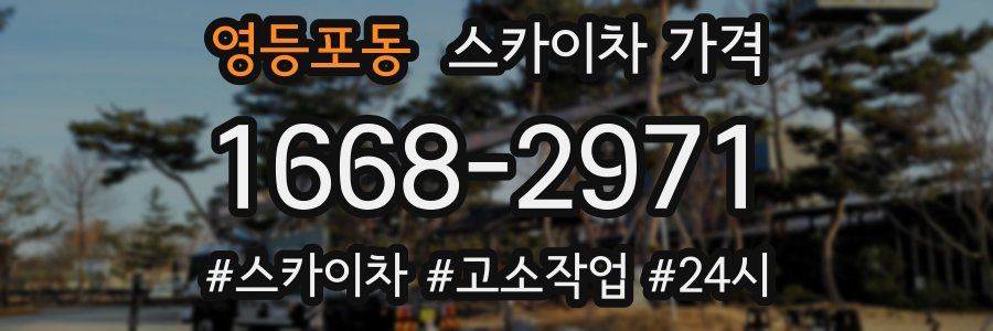 영등포동 스카이차 가격