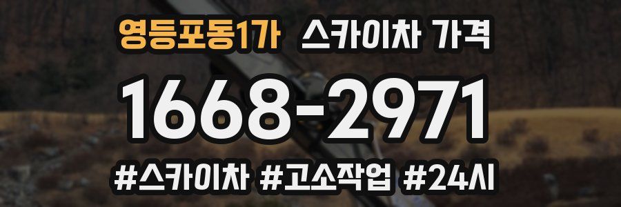 영등포동1가 스카이차 가격