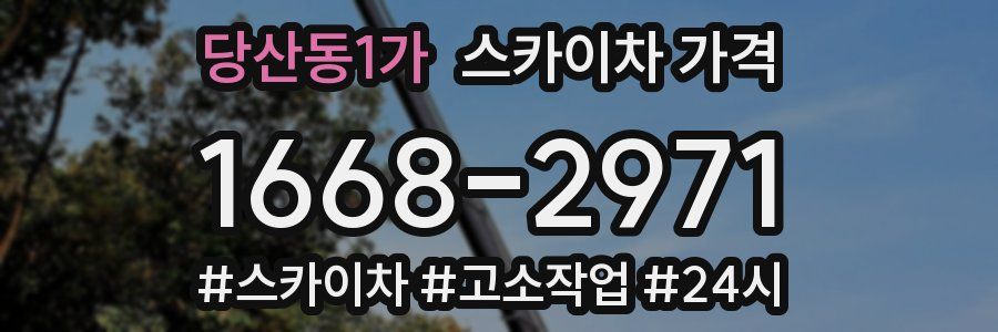 당산동1가 스카이차 가격