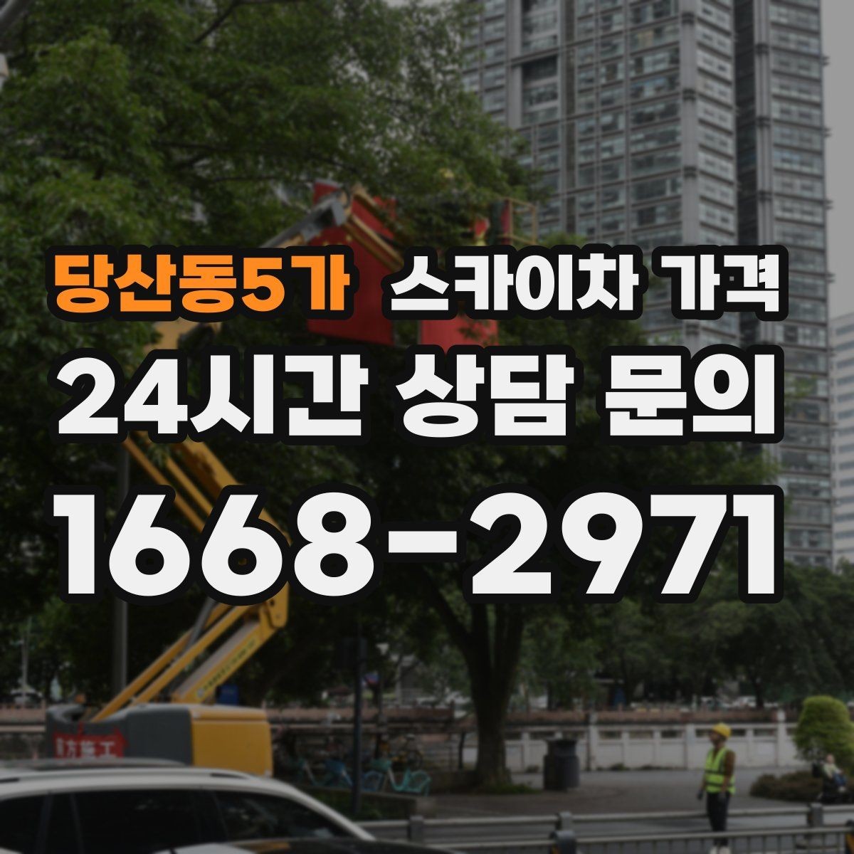 당산동5가 스카이차 가격 나무 가지치기 작업은 어떤 기준으로 볼까