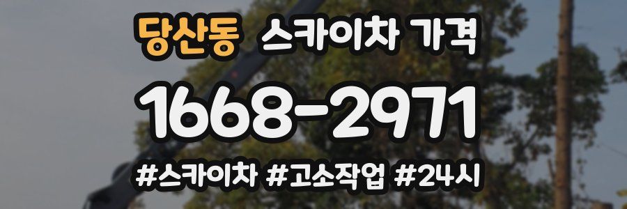 당산동 스카이차 가격