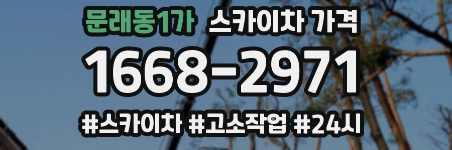문래동1가 스카이차 가격