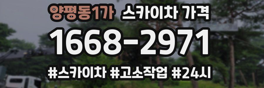 양평동1가 스카이차 가격