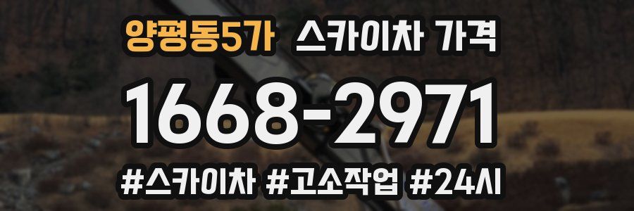 양평동5가 스카이차 가격