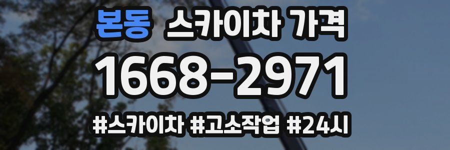 본동 스카이차 가격