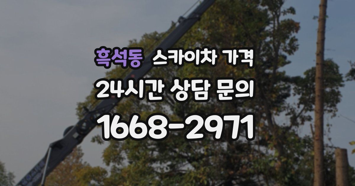 흑석동 스카이차 가격