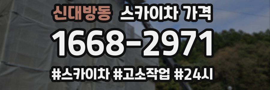 신대방동 스카이차 가격