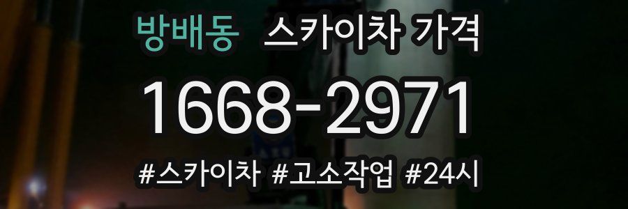 방배동 스카이차 가격