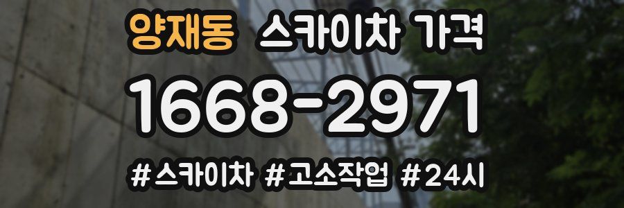 양재동 스카이차 가격