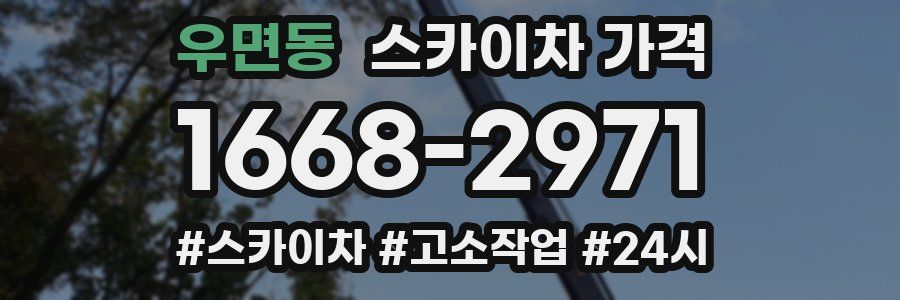 우면동 스카이차 가격