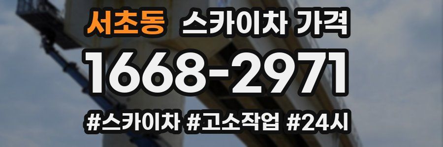 서초동 스카이차 가격