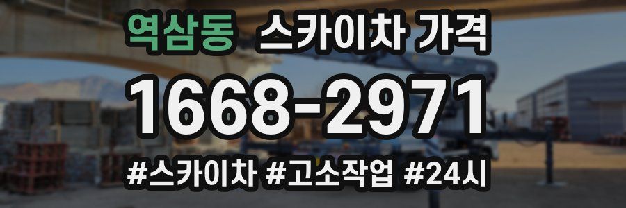 역삼동 스카이차 가격