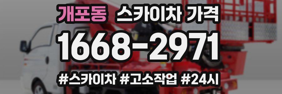 개포동 스카이차 가격