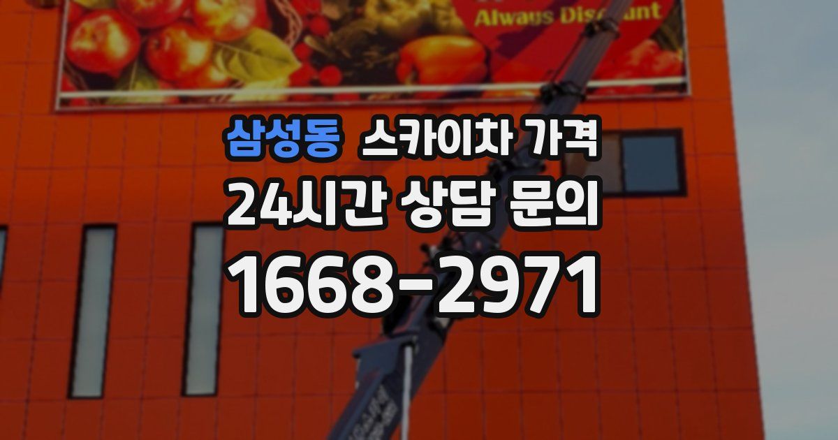 삼성동 스카이차 가격