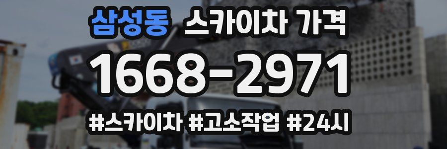 삼성동 스카이차 가격
