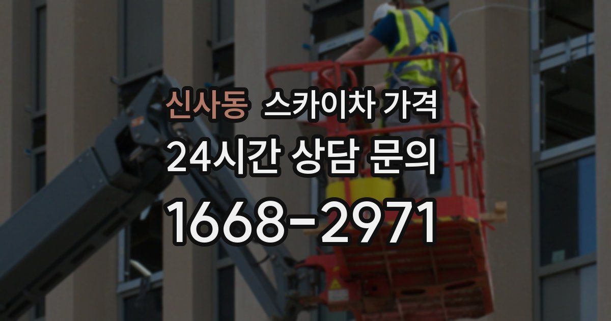 신사동 스카이차 가격