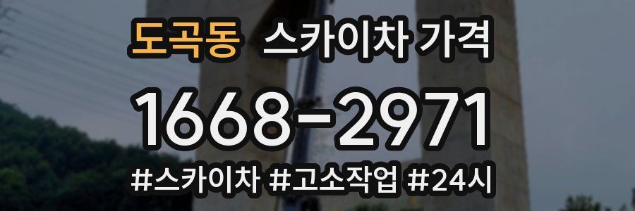 도곡동 스카이차 가격