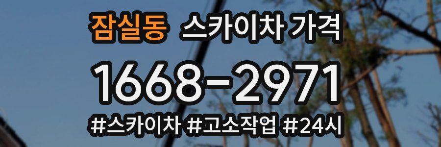 잠실동 스카이차 가격