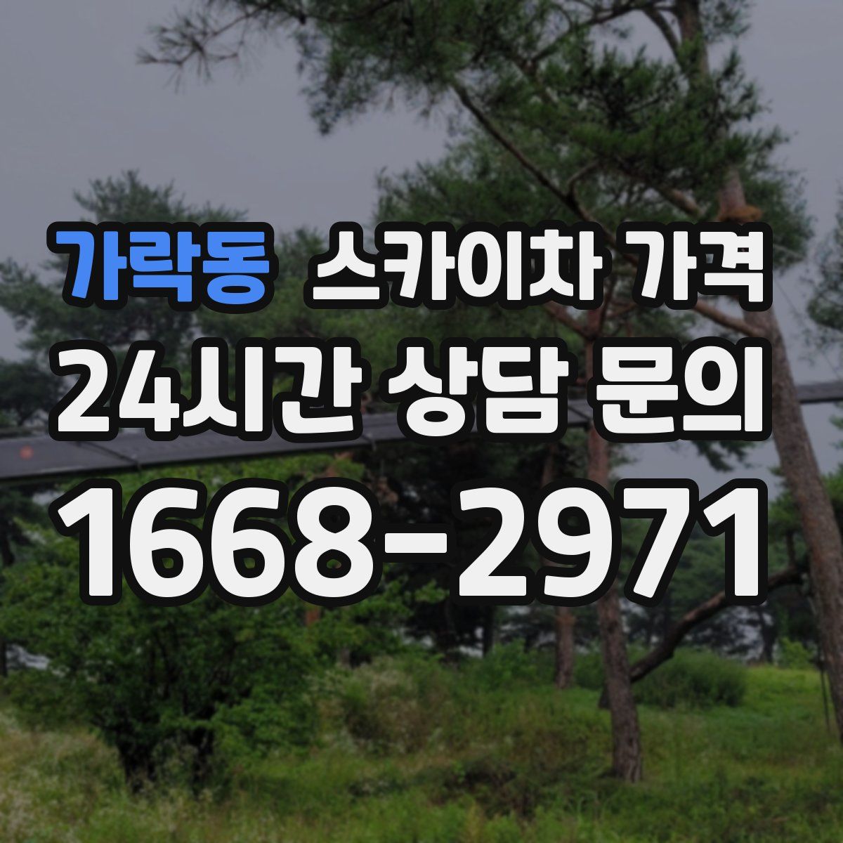 가락동 스카이차 가격